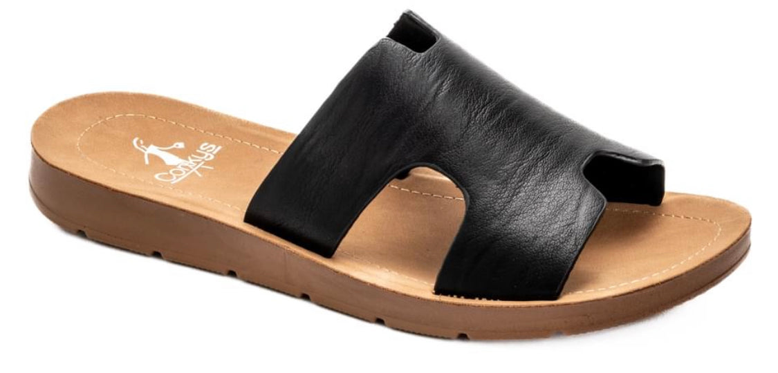 Boglalusa Slides