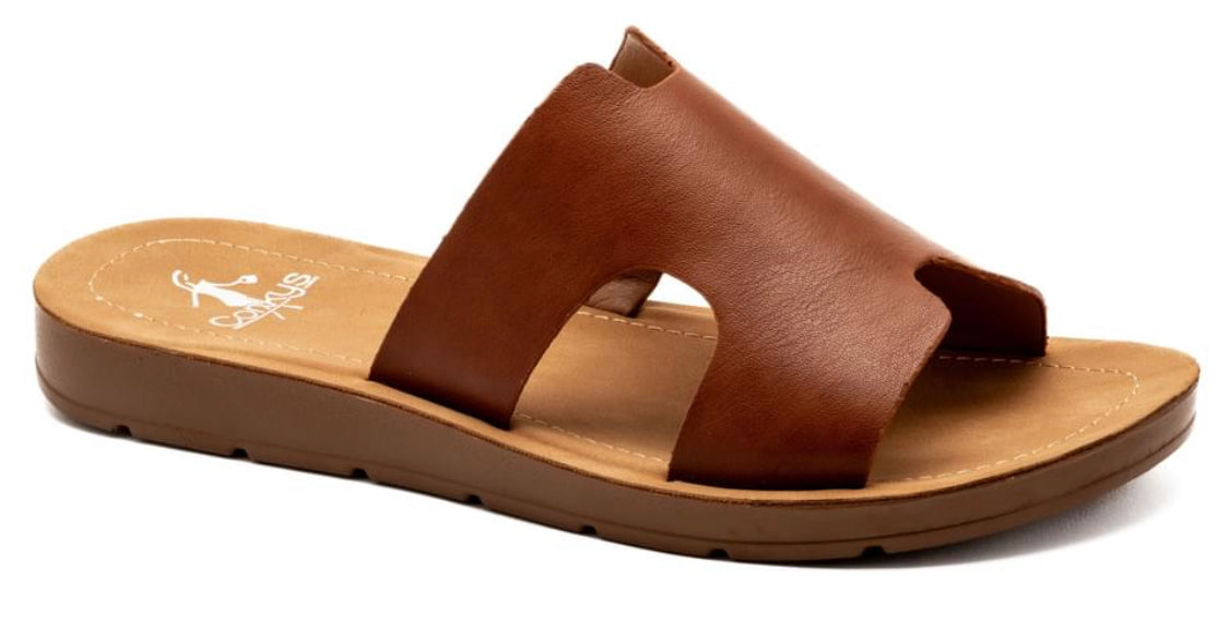 Boglalusa Slides