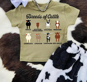 Breeds Of Cattle